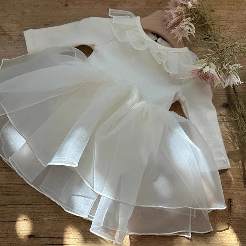 Long Sleeve Princess Baby Dress
